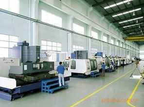 陸豐市甲子藍(lán)博模具廠 專業(yè)模具制造與技術(shù)服務(wù)的卓越典范